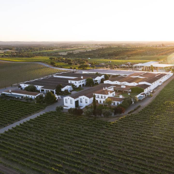 ﻿João Portugal Ramos: visit to the vineyards and winery with premium tasting