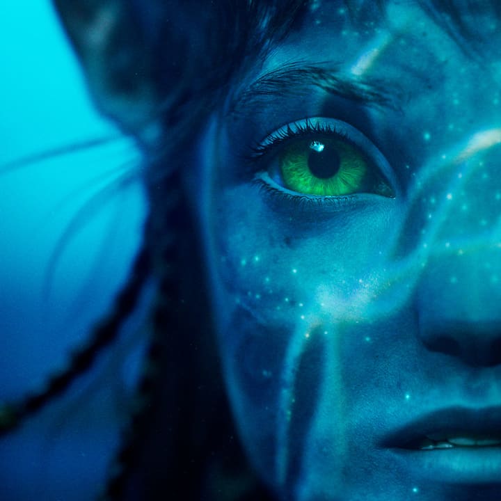 Entradas Avatar: El sentido del agua en cines