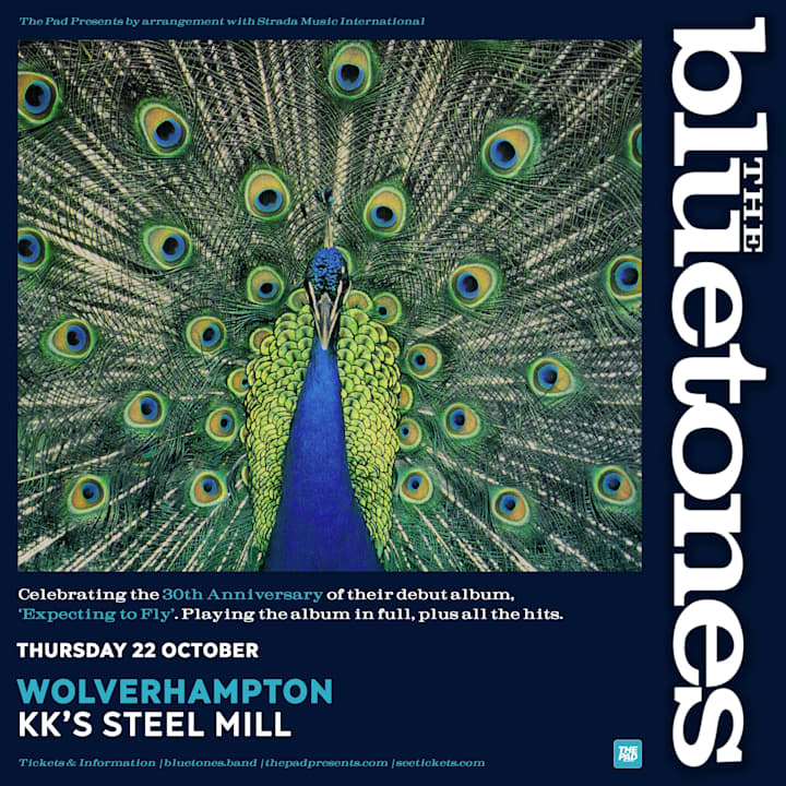 The Bluetones