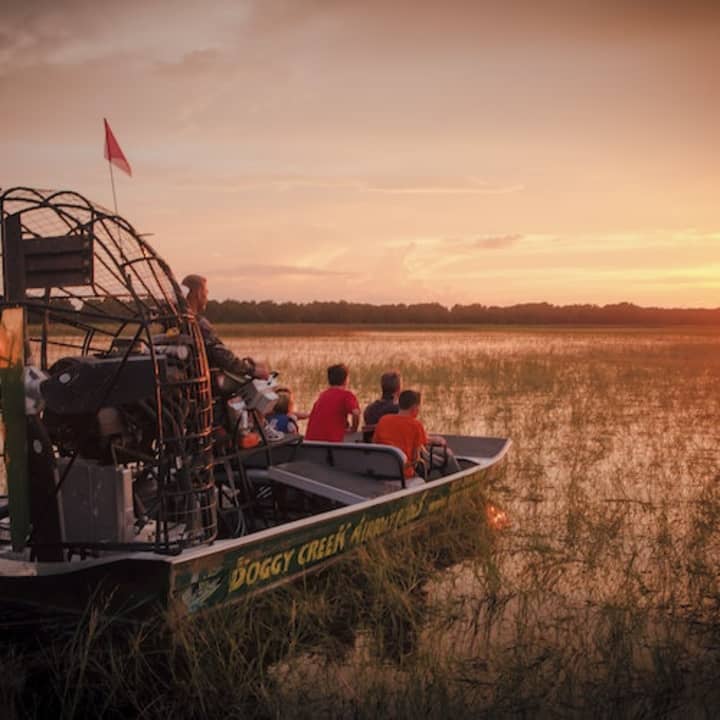 1-Hour Boggy Creek Sunset Airboat Tour
