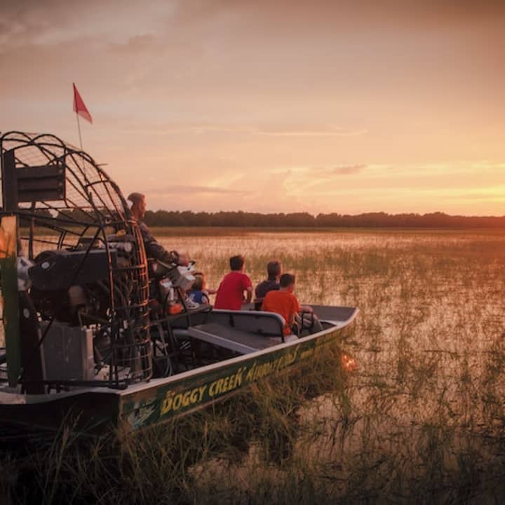 ﻿excursión de 1 hora en hidrodeslizador al atardecer en Boggy Creek