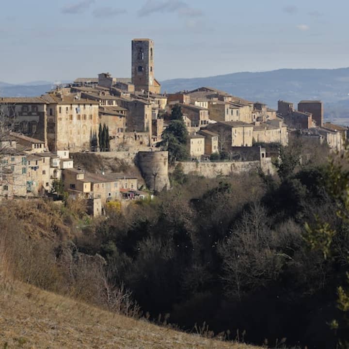 Museo San Pietro a Colle Val d'Elsa