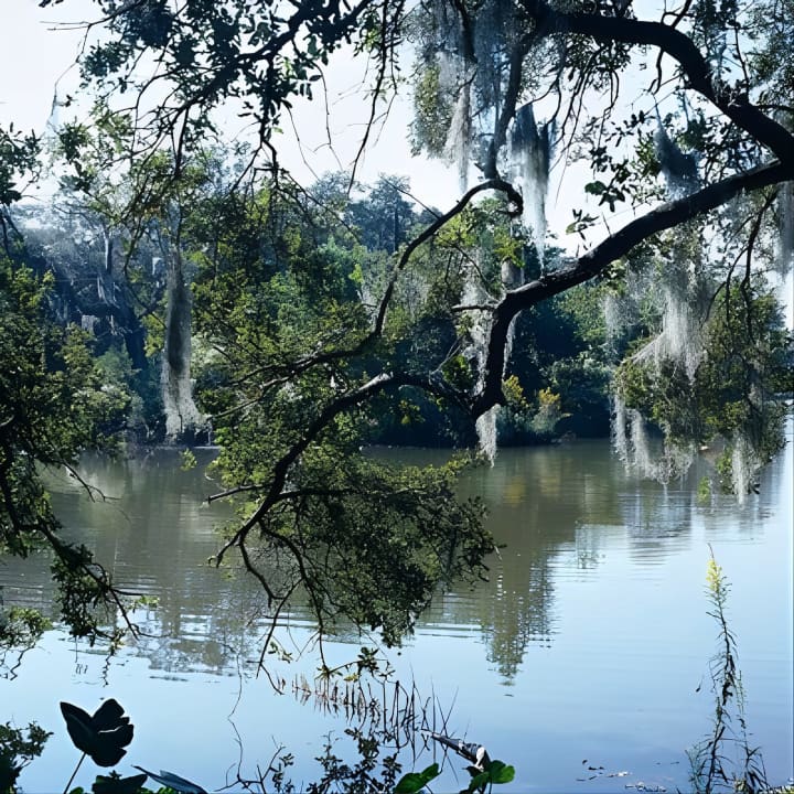 A Walk in the Park: City Park New Orleans Audio Tour