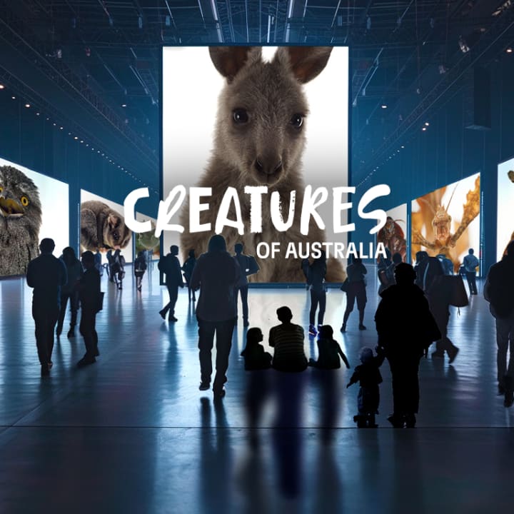 Creatures of Australia - Waitlist
