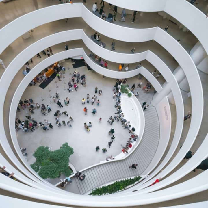 The Guggenheim | Fever