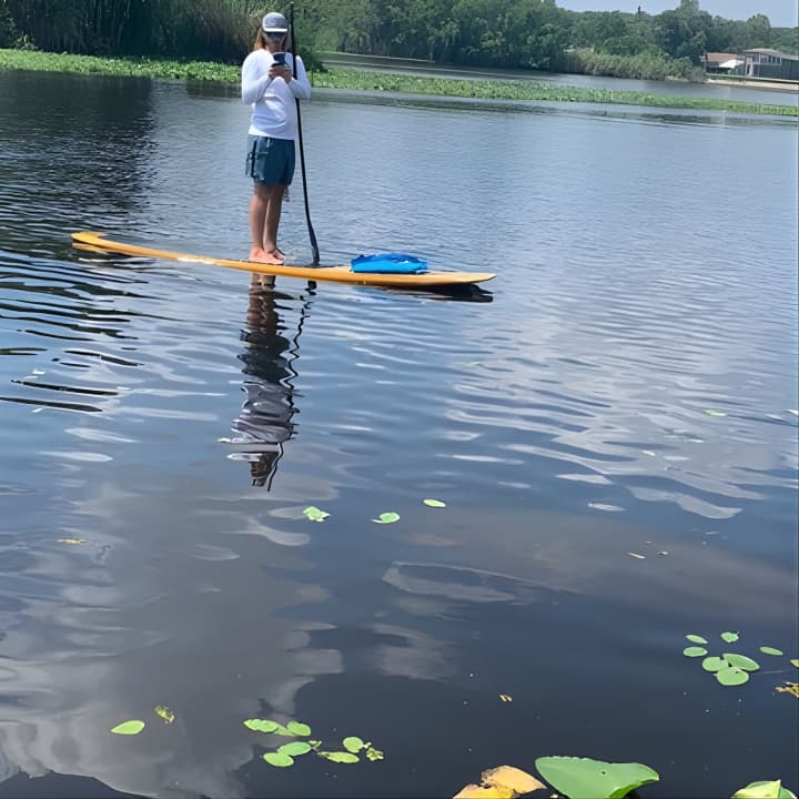 Orlando Manatee and Olde Florida History Adventure Tour (Aventura por los manatíes y la historia de Florida)