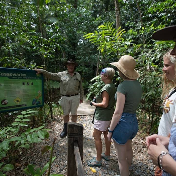 Daintree and Cape Tribulation Full-Day Tour