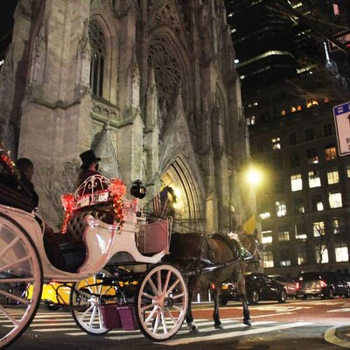 ﻿Tarde mágica en coche de caballos por Nueva York (55 min)