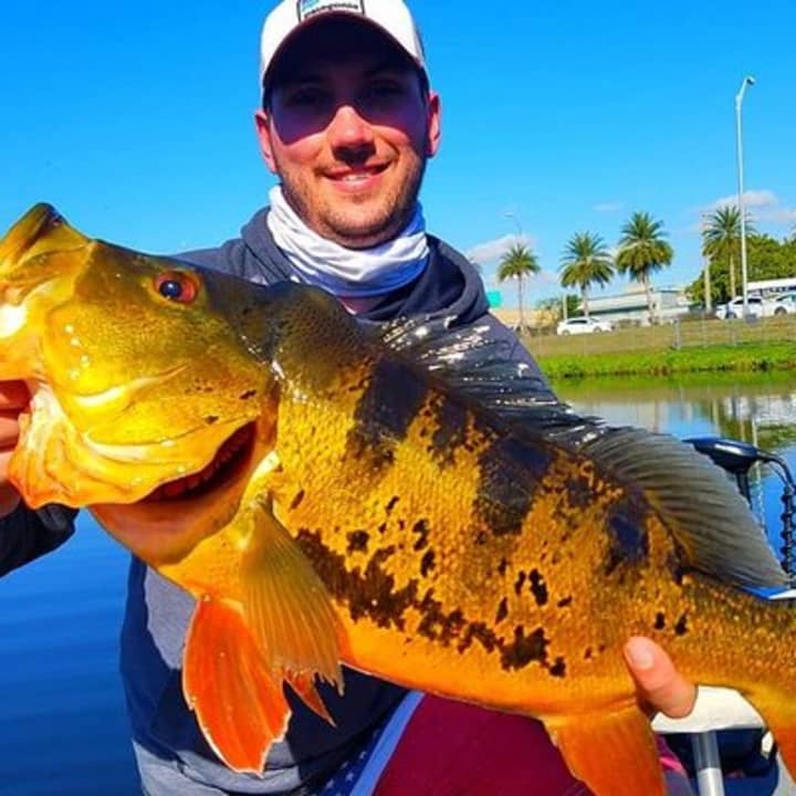 ﻿Viajes de pesca de lubina cerca de Miami Florida