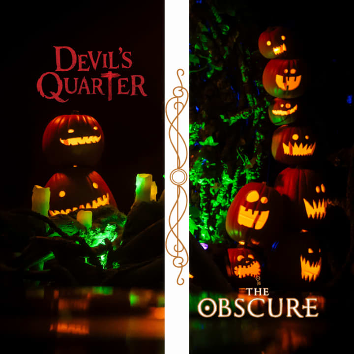 The Obscure: Distillery & Cocktail Experience