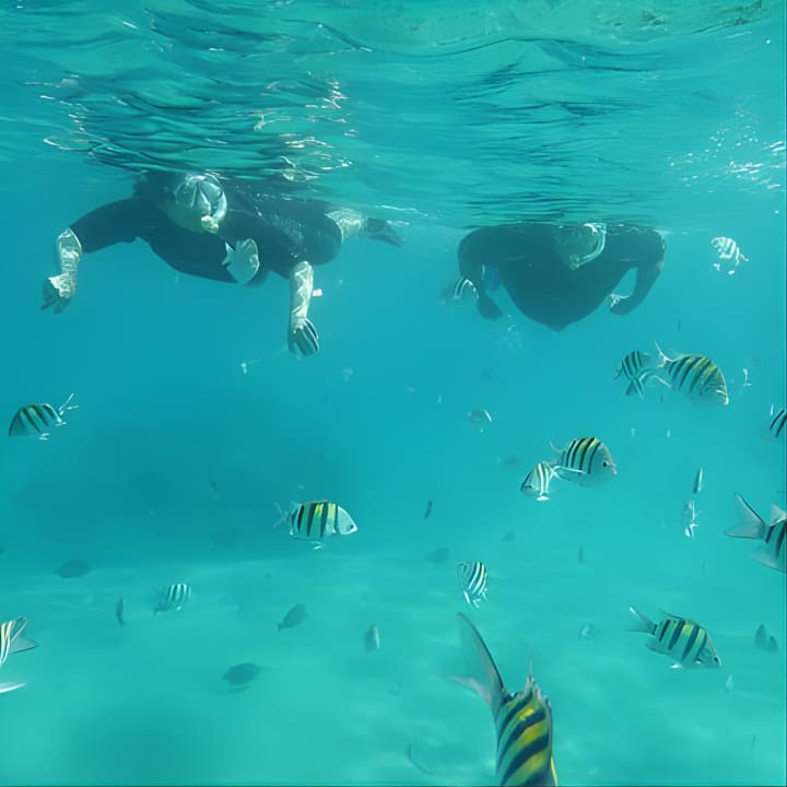 Private Snorkel BOGO Special +Tour Expert Training First Timers