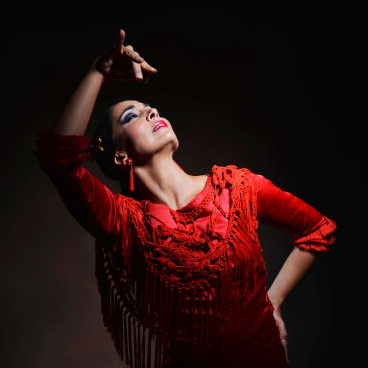 ﻿Flamenco Theater: Emociones show