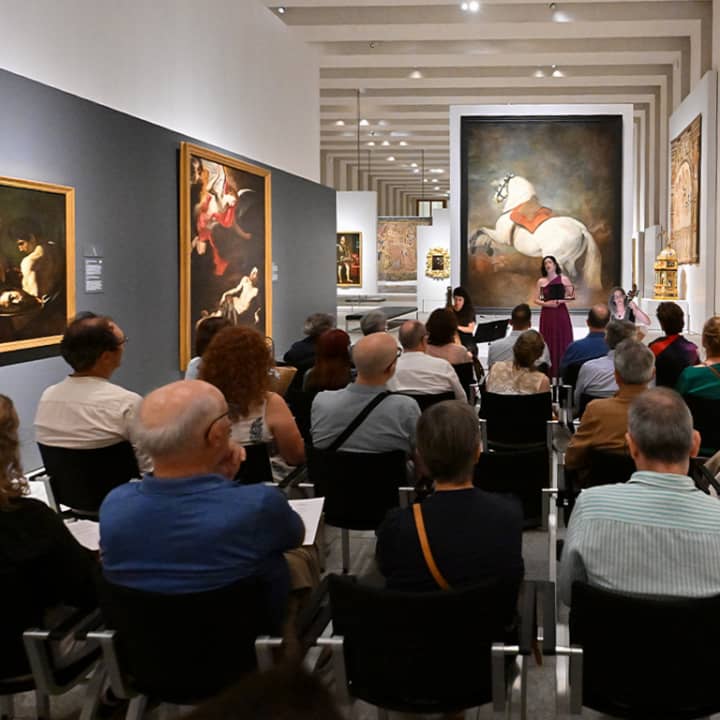 Noites mágicas na Galeria