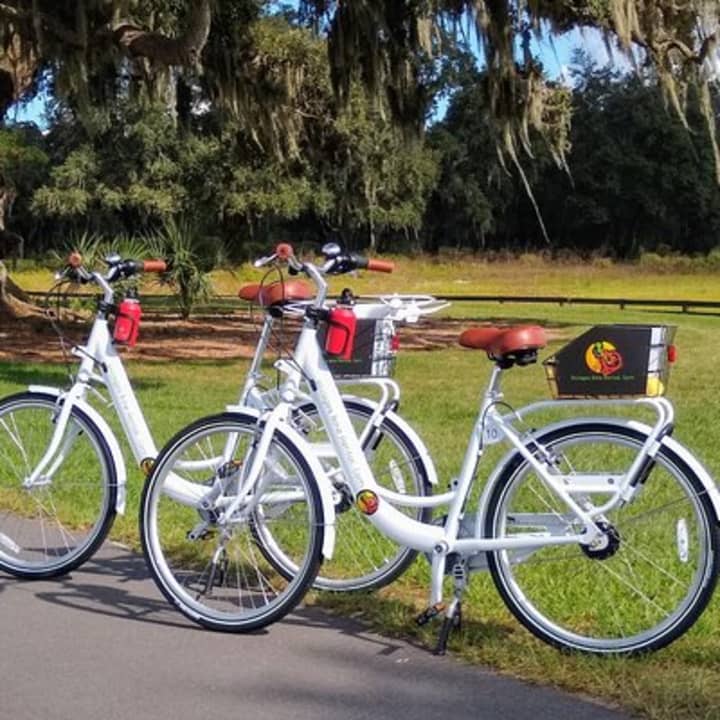Village Bicycle Rental Free Delivery in The Villages Florida 