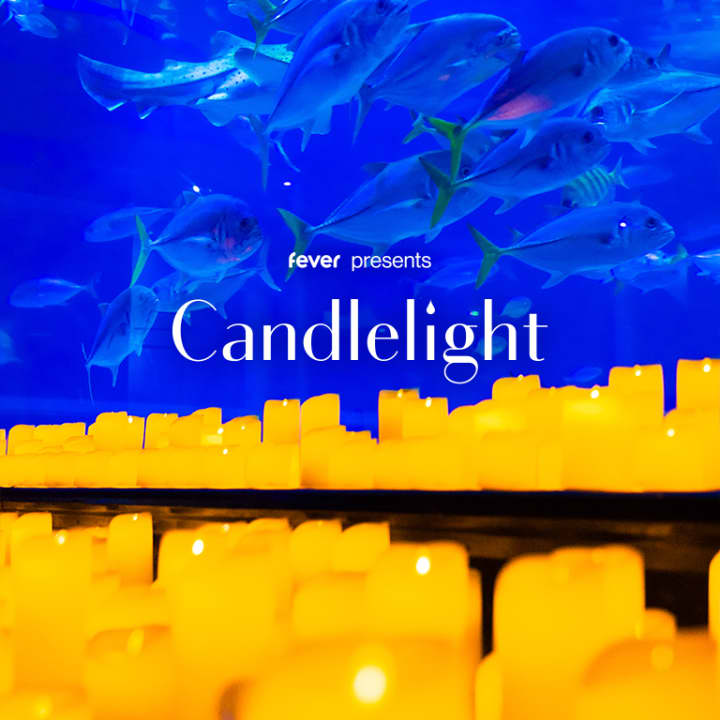 Candlelight: Hans Zimmer's Best Works