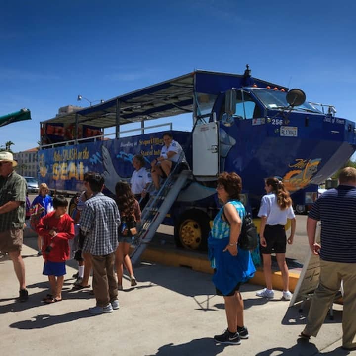 San Diego: 90-Minute Seal Tour with Amphibious Bus