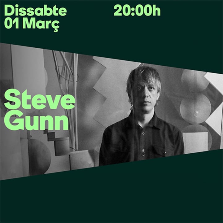 Steve Gunn