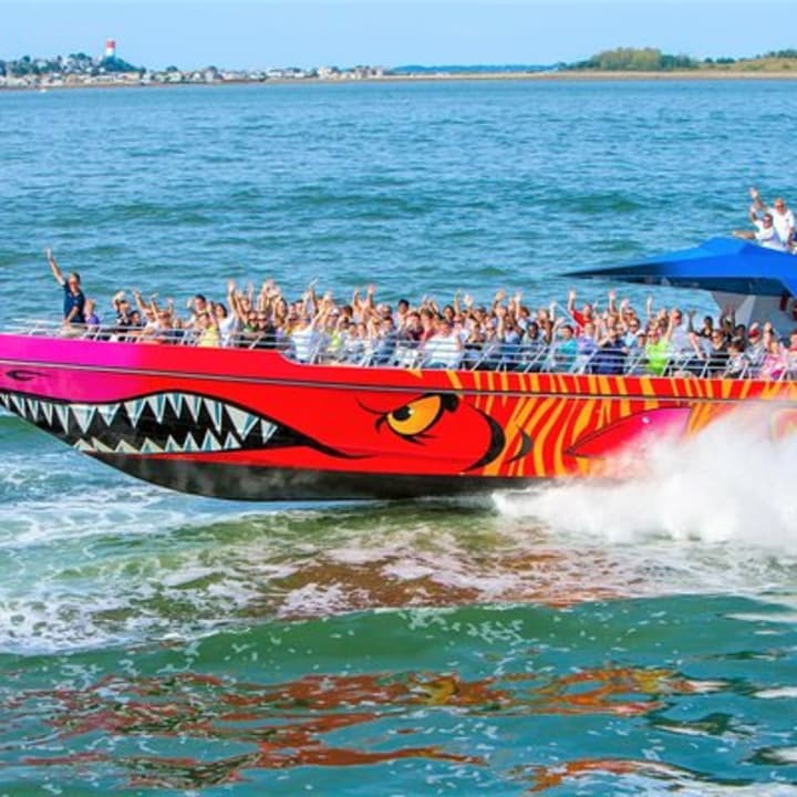 Boston Codzilla High-Speed Thrill Boat Ride