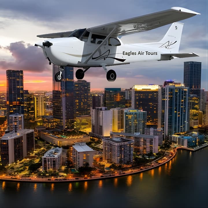 Eagles Air Tour: Private 45 Minute Plane Tour of Miami