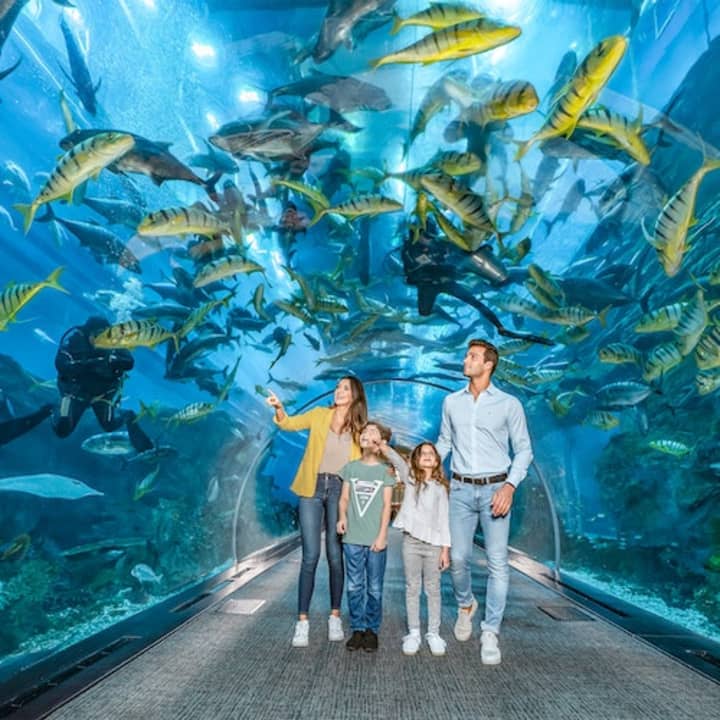 Dubai Aquarium & Underwater Zoo