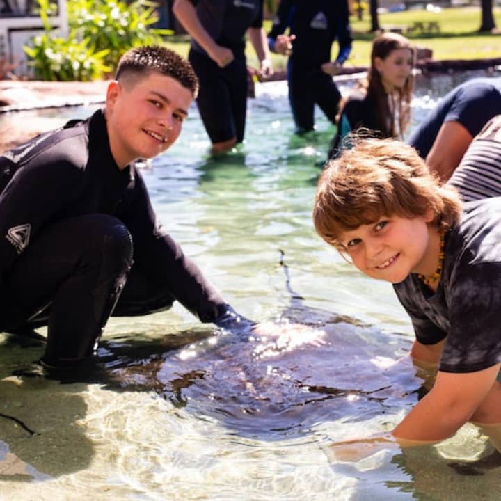 Irukandji Shark & Ray Encounters