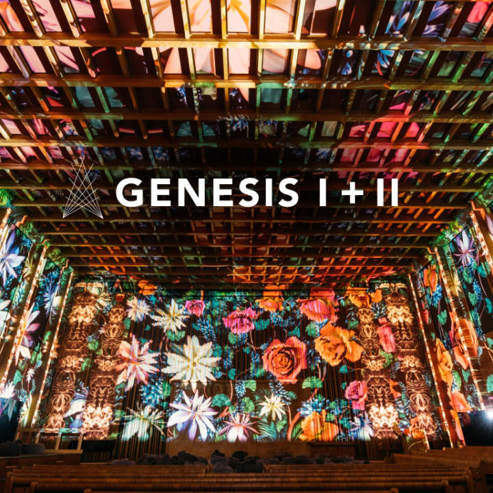 Genesis I + II Zürich