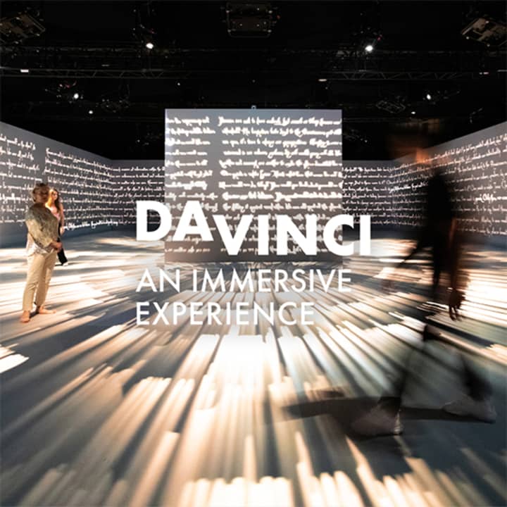 Da Vinci: An Immersive Experience