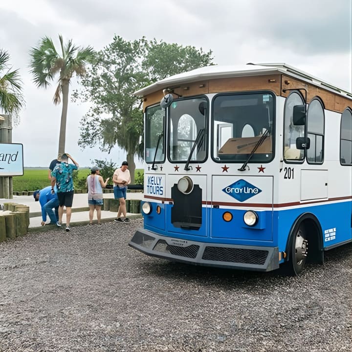 Savannah to Tybee Island with Dolphin Cruise