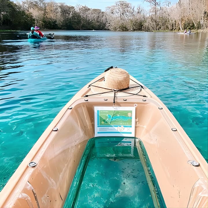 ﻿Excursión en kayak con fondo de cristal por Silver Springs!