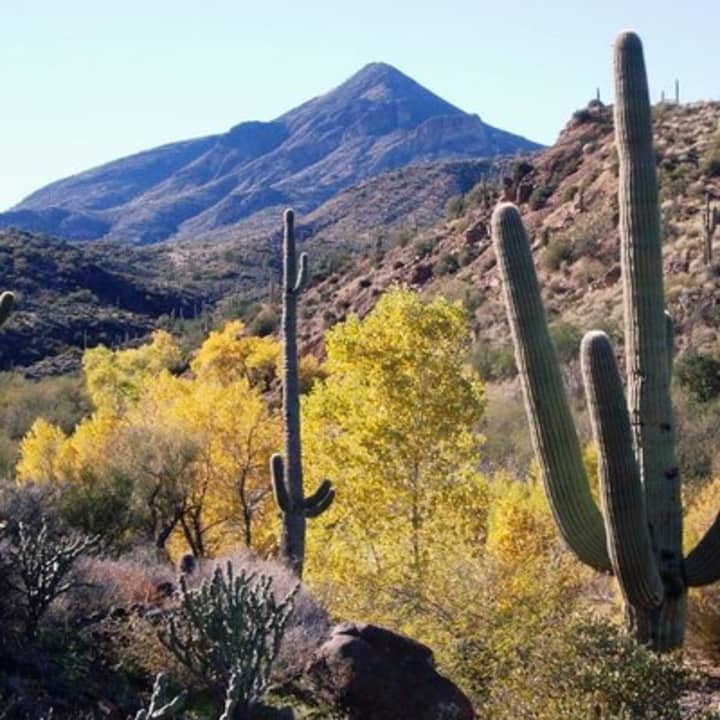 1-2 Hour Jewel of the Creek Private Guided Hiking Tour