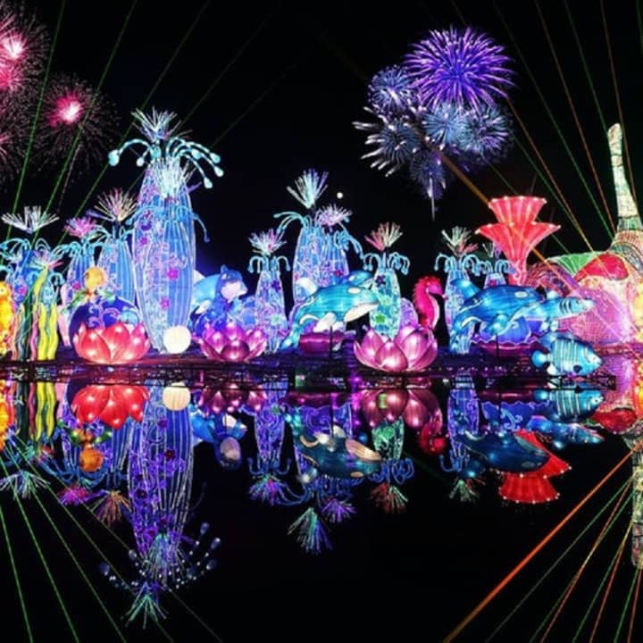 Dubai Garden Glow: A dazzling light spectacular