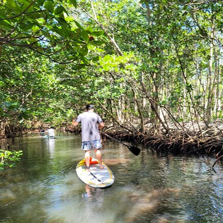 ﻿Experiencia de Stand Up Paddle Boarding en la Naturaleza en Miami