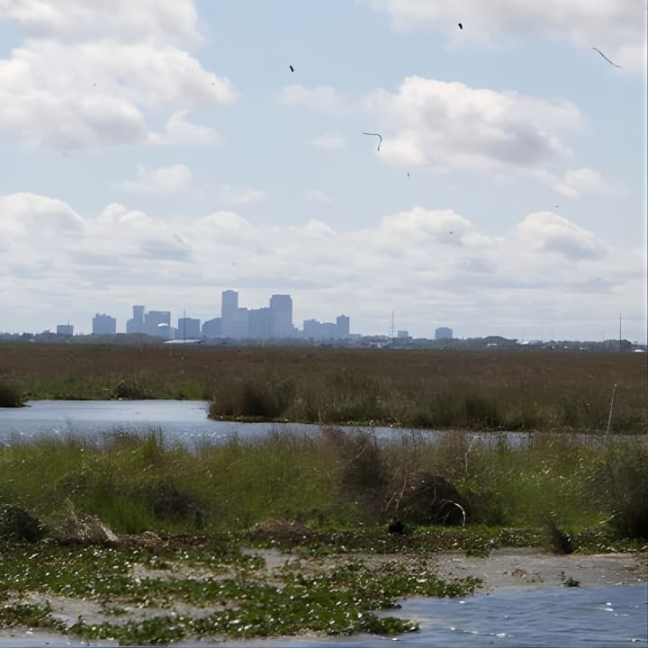 Self Guided Kayak Bayou Swamp Tour