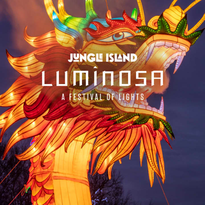 Luminosa: A Festival of Lights - Miami - Tickets