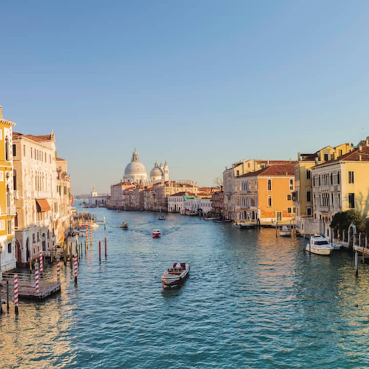 Events & Things to Do in Venice this week | Fever