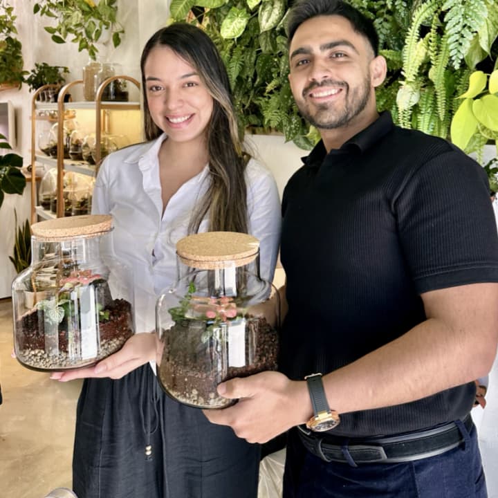 Crea tu propio terrario eterno - Madrid