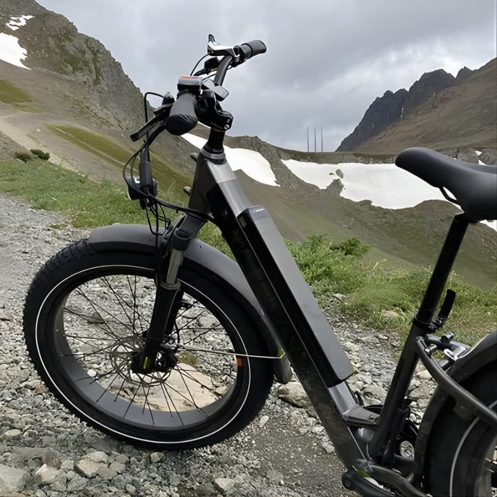 Guided EBike Powerline Pass Trail E Bike Anchorage Girdwood