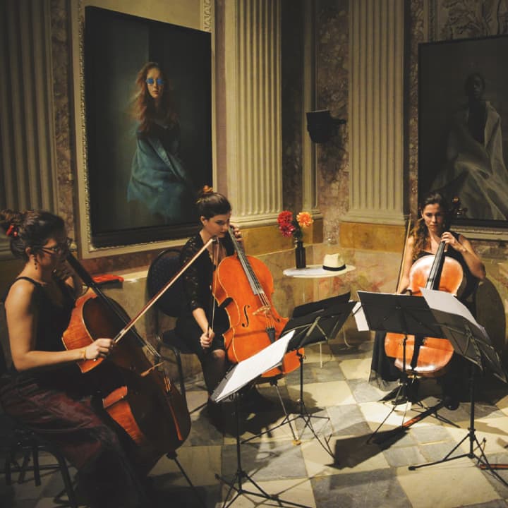 Tardes de Música Clásica en el MEAM: concierto y visita al museo