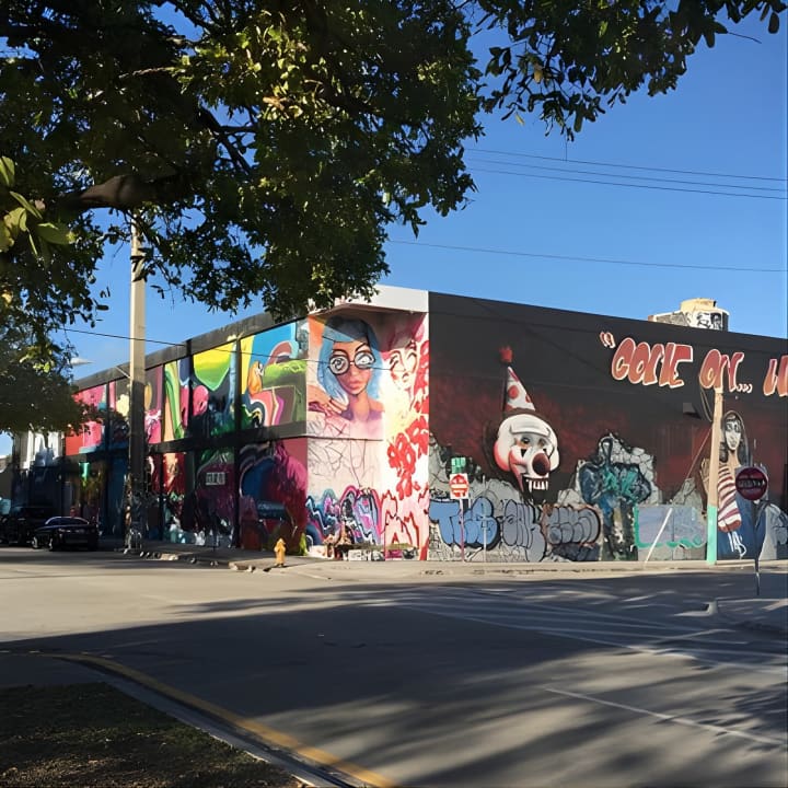 Tour de arte callejero francés en Wynwood, Miami