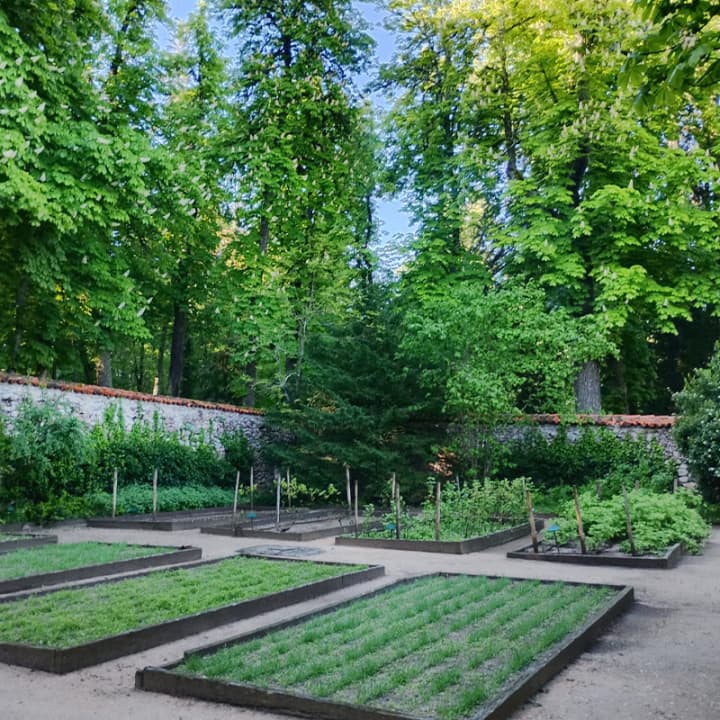 Visite guidée du Jardin de la Real Botica à la Granja de San Ildefonso