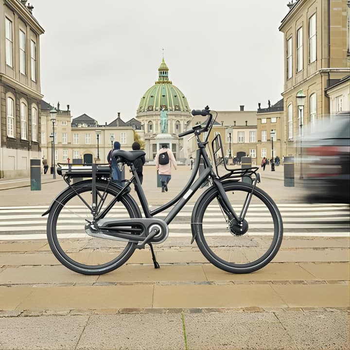Copenhagen Electric Bike (E-Bike) Rentals