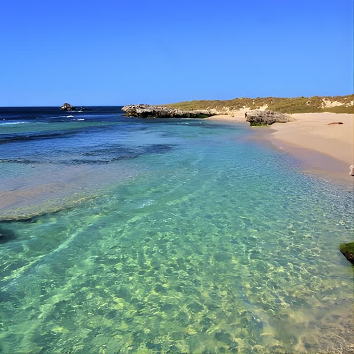 Rottnest Island Bayseeker Day Trip from Perth