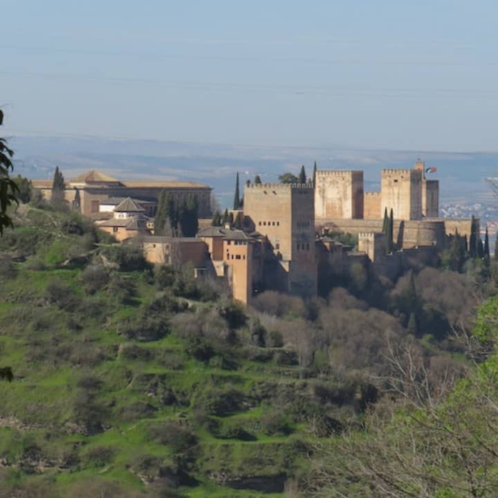 ﻿Excursion from Seville: Granada + Alhambra