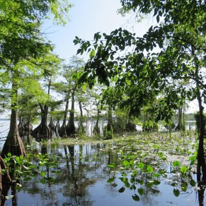 ﻿5 Horas de Actividad en Kayak por el Lago Norris con Almuerzo