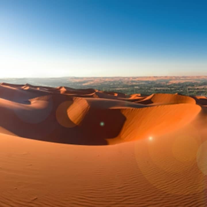 Abu Dhabi Desert Safari: Morning