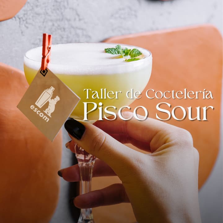 ﻿Pisco Sour Cocktail Workshop at ESCOM