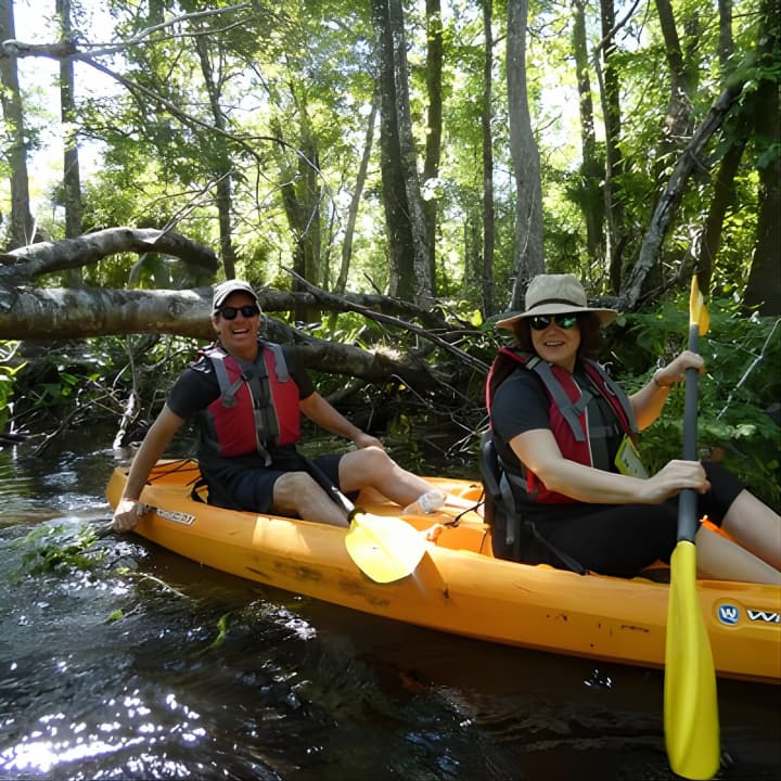 ﻿Aventura exclusiva en kayak por el arroyo Blackwater