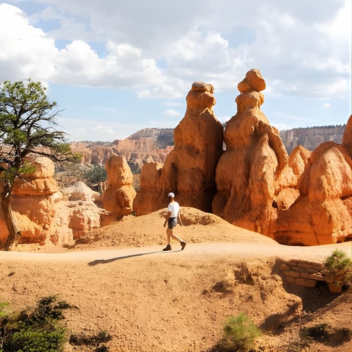 ﻿Excursión de un día a los Parques Nacionales de Bryce Canyon y Zion desde Las Vegas