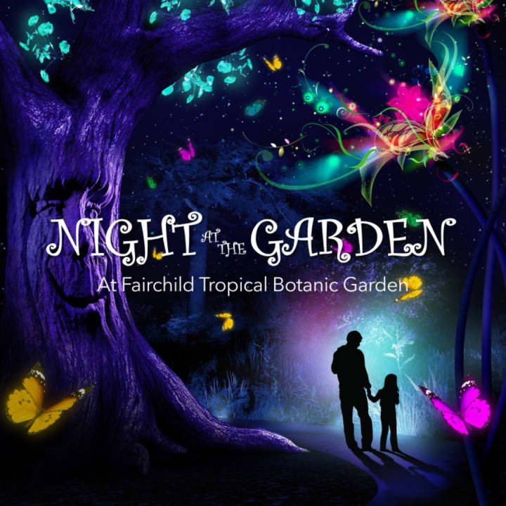 Fairchild's Night at the Garden