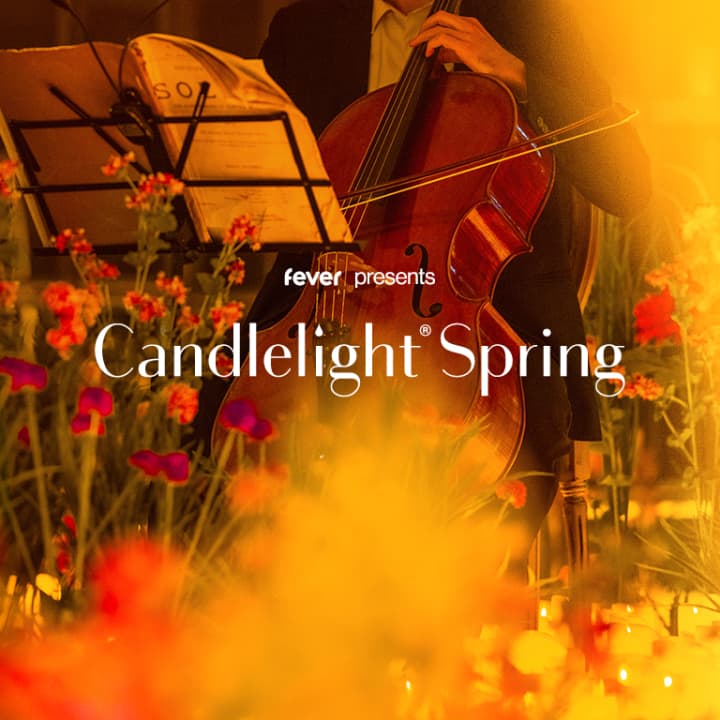 Candlelight Spring: De vier seizoenen van Vivaldi